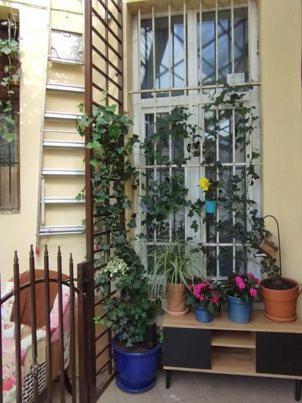 Miodowa Kazimierz Apartment Красков Екстериор снимка